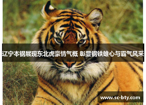 辽宁本钢展现东北虎豪情气概 彰显钢铁雄心与霸气风采